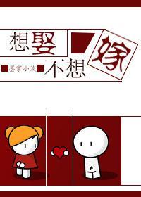 想娶不想嫁封面