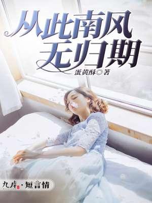 从此南风无归期封面