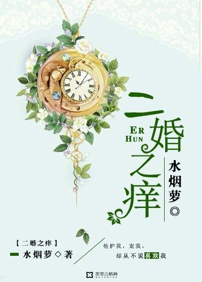 二婚之痒封面