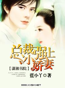 总裁强上小娇妻封面