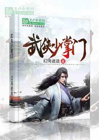 武侠少掌门封面