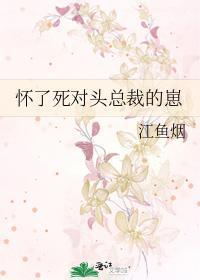 怀了死对头总裁的崽封面