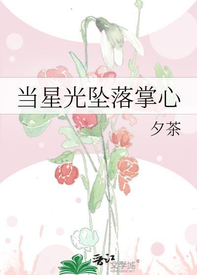 当星光坠落掌心封面