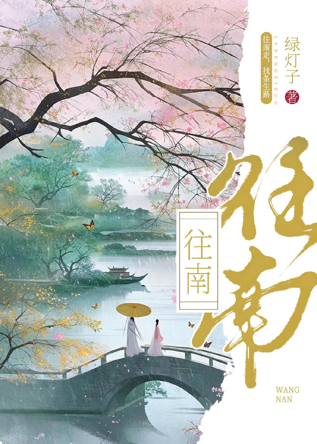 往南封面