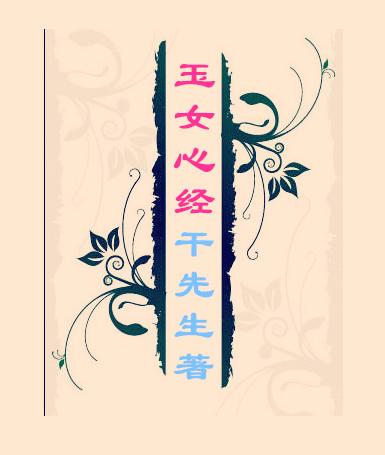 玉女心经封面