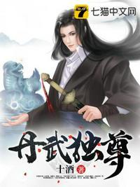 丹武独尊封面