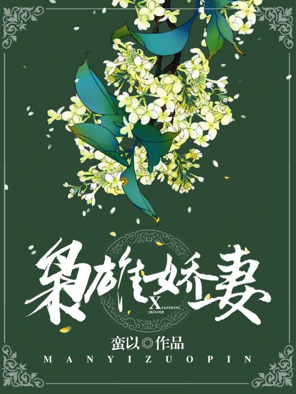 枭雄娇妻封面