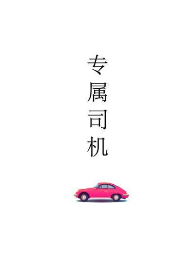 专属司机封面