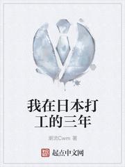 我在日本打工的三年封面