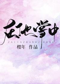 在他掌中封面