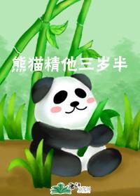 熊猫精他三岁半封面