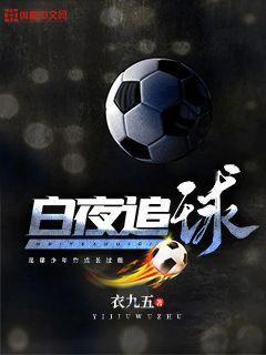 白夜追球封面