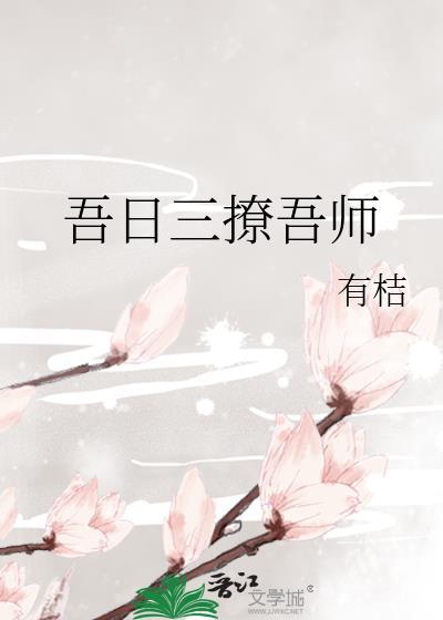 吾日三撩吾师封面