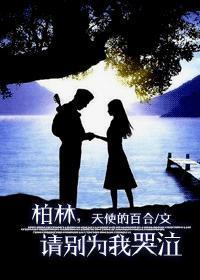 柏林，请别为我哭泣封面