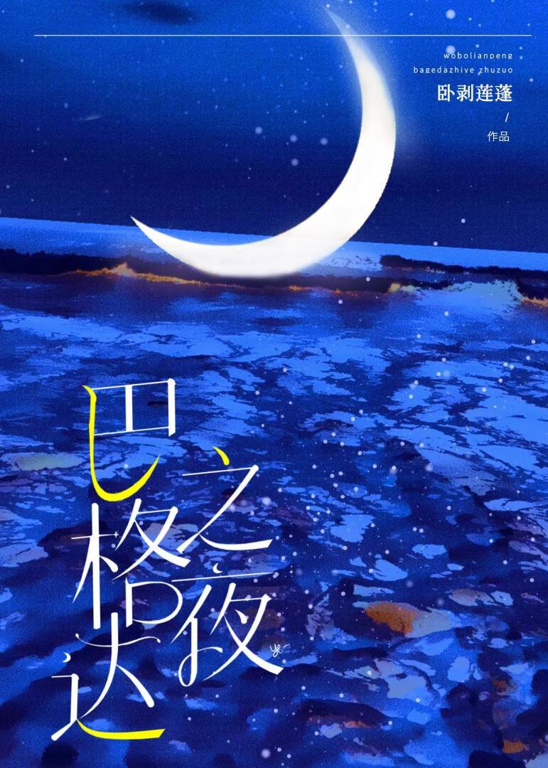 巴格达之夜封面
