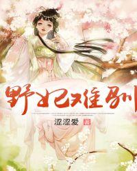 《野猫难驯》封面