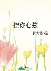 撩你心弦封面