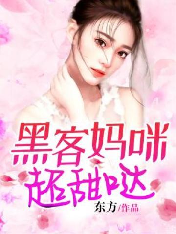 黑客妈咪带我飞封面