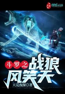 斗罗之战狼风笑天封面