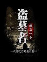 最后一个盗墓者封面