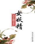天上掉下个美娇娘封面