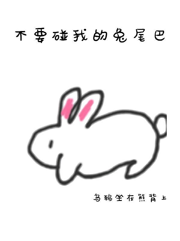 不要碰我的兔尾巴封面