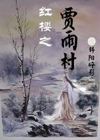 红楼之贾雨村封面
