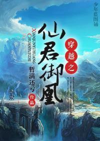 穿越之仙君御凰封面