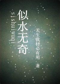 似水无奇封面