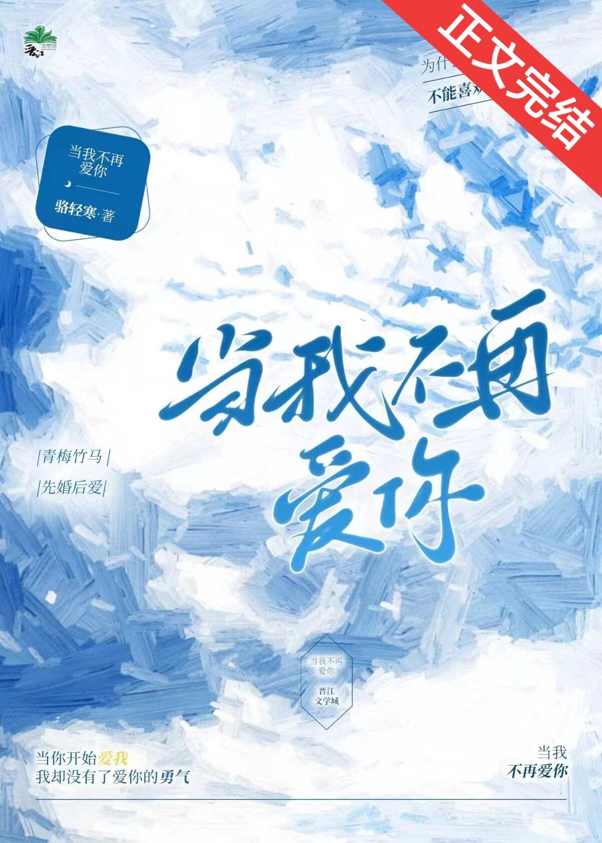 当我不再爱你封面