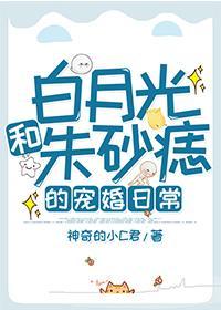 白月光和朱砂痣的宠婚日常封面