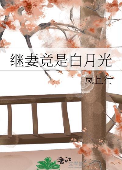 继妻竟是白月光封面