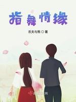 指舞情缘封面