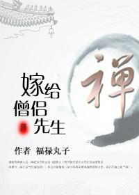 嫁给僧侣先生封面