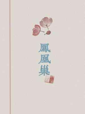 凤凰巢封面
