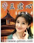 帝王君心封面