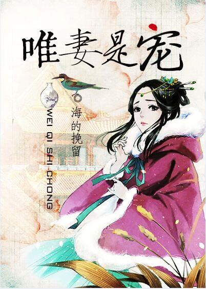 唯妻是宠封面