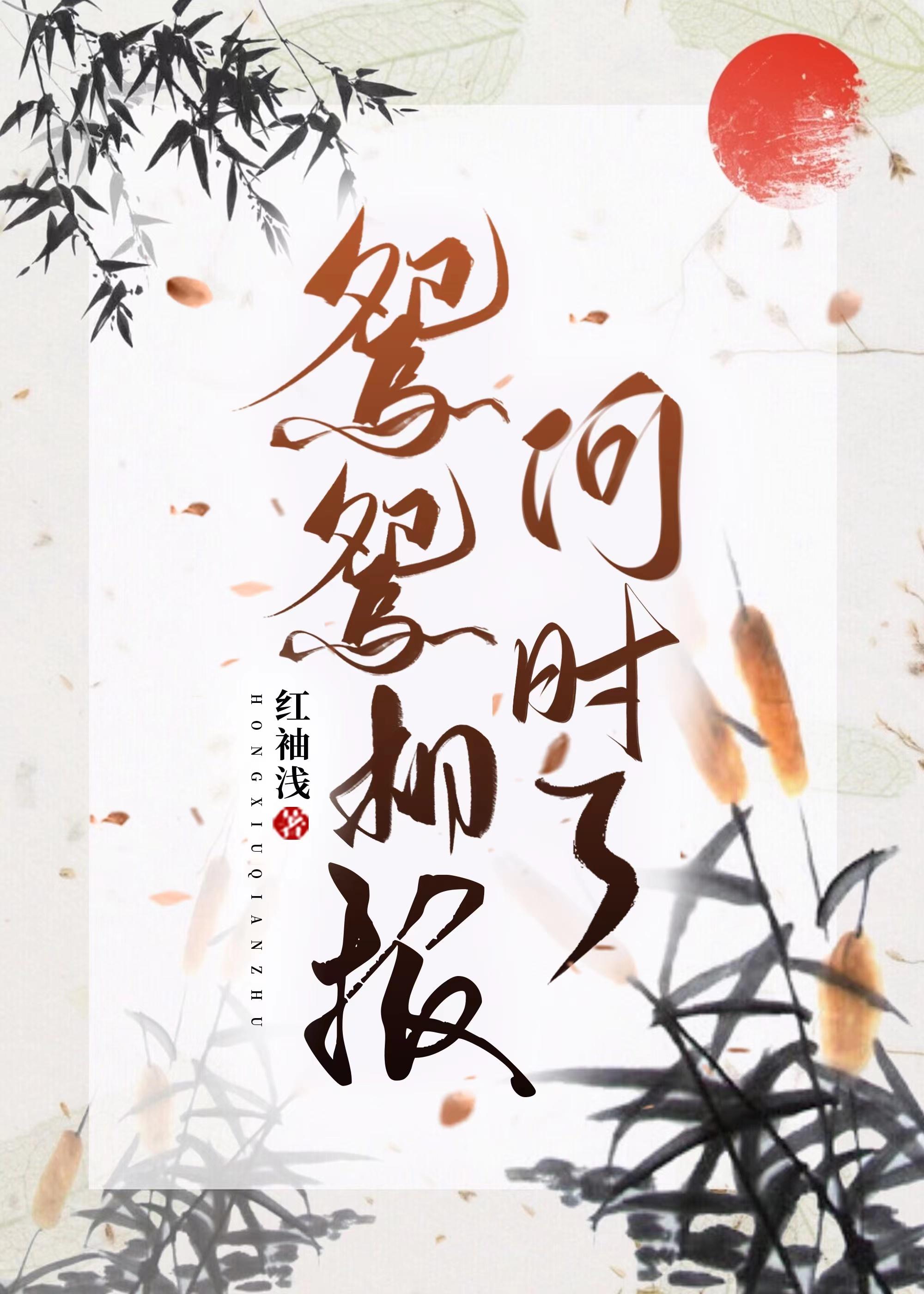 鸳鸳相报何时了封面