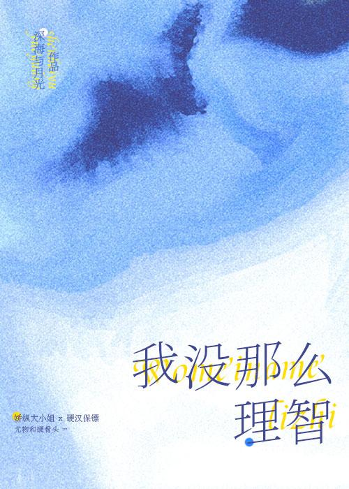 我没那么理智封面