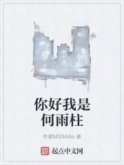 你好我是何雨柱封面