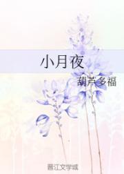 小月夜封面