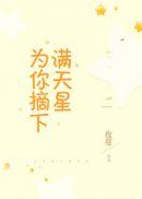 为你摘下满天星封面