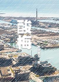 酸梅封面