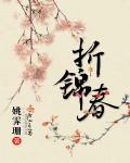折锦春封面