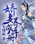 娇妻养成手册封面