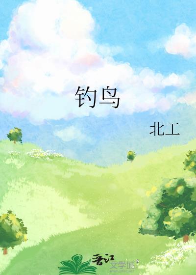 钓鸟封面