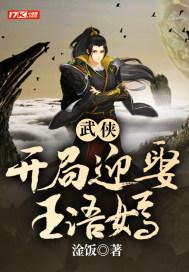 武侠之天意系统封面