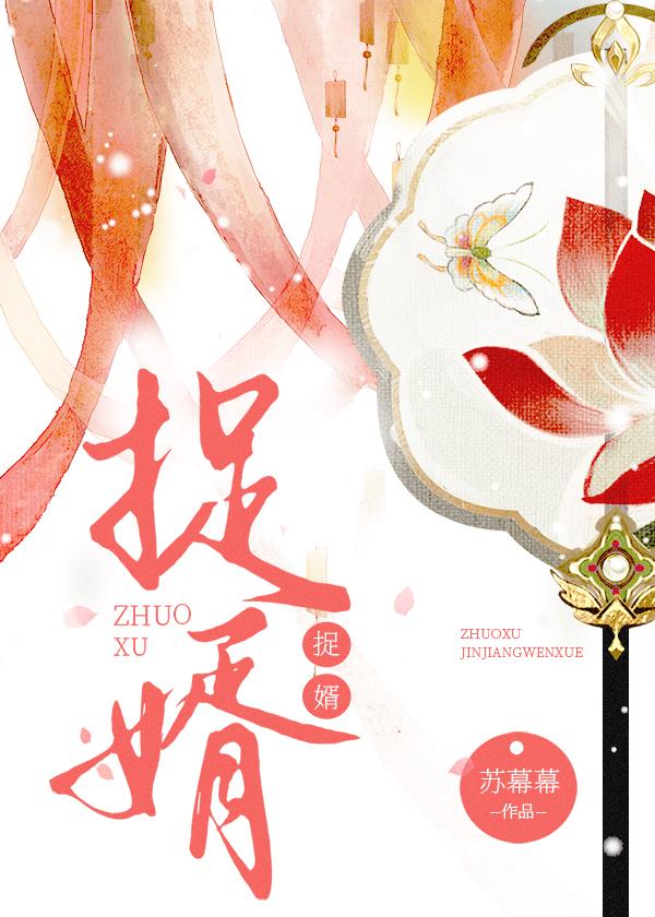 捉婿封面