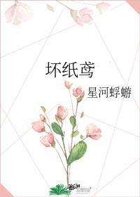 坏纸鸢封面