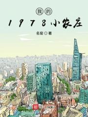 我的1978小农庄封面